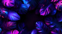 Monstera leaves in neon pink and blue colors on dark background create mystical tropical atmosphere with dramatic lighting effects and deep shadows.