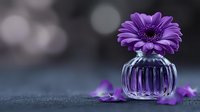 Purple gerbera daisy in crystal vase with scattered petals on textured surface, soft bokeh background, floral arrangement for home decor and wellness design.