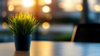 Small decorative grass plant in black pot on wooden table with soft bokeh lights background creating cozy atmosphere for home or office decor.