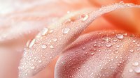 Delicate peach rose petals with morning dew drops creating fresh natural pattern. Pure water droplets on soft floral surface showcase nature's beauty in macro photography.