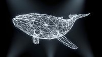Digital wireframe whale with geometric polygonal mesh structure on dark background for modern tech and marine life concepts.
