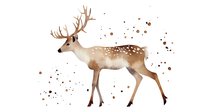 Watercolor spotted deer with majestic antlers in brown tones, side view on white background with artistic splatter effect, isolated wildlife illustration.