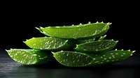 Fresh cut aloe vera leaves with water drops on dark background, natural organic skincare ingredient for cosmetics and medicinal use.