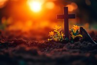 Wooden cross planted in fertile soil with green seedlings growing nearby during golden sunset, symbolizing hope, faith, renewal and spiritual growth.