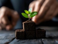 Young green plant growing from soil blocks arranged as podium steps, symbolizing sustainable growth, success and environmental achievement in business.