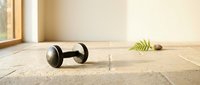 Dumbbell and fern leaf on wooden floor in bright room with natural light, fitness and wellness concept for gym, home workout, and healthy lifestyle design projects.