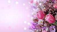 Pink tulips and delicate spring flowers arrangement on soft bokeh background with dreamy romantic mood, fresh floral composition in pastel tones.