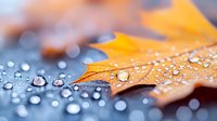 Raindrops on orange autumn maple leaf create natural magnifying effect with bokeh background, macro photography showing morning dew and seasonal details.
