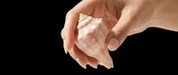 Caucasian female hand holding a spiral seashell, isolated on transparent background, ready for beach, summer, and ocean-themed clipart, stickers, and print on demand designs.