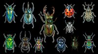 Colorful beetle collection isolated on transparent background, featuring stag, ladybug, scarab and more. Ready for clipart, stickers, t-shirt design, and print on demand.