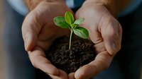 Hands holding small green seedling in soil, symbolizing growth, new beginnings, and environmental care.