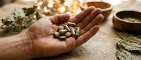 Male hand holding dried seeds and herbs on natural linen fabric with botanical elements, suitable for wellness, nutrition, and organic product marketing.