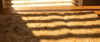 Warm sunlight streaming through window blinds casting striped shadows on textured concrete floor creating atmospheric indoor lighting pattern.