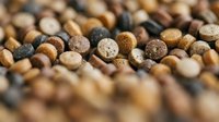 Mixed legumes and beans collection with various colors and textures scattered on surface for healthy cooking and nutrition concepts.