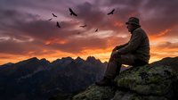 Silhouette of contemplative hiker sitting on rocky summit watching birds fly over mountain peaks during dramatic sunset with purple and orange sky.