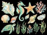 Watercolor ocean clipart set with seashells, seahorse, starfish, turtle, coral, and seaweed, isolated on transparent background. Great for t-shirts, stickers, and print on demand.