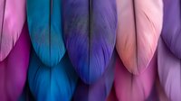 Vibrant feathers in pink, blue and purple tones arranged in vertical composition create soft textural background pattern for decorative and artistic designs.