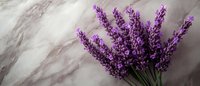 Fresh purple lavender bouquet lying on gray marble surface with dramatic lighting and copy space, aromatic herbs for spa, wellness and aromatherapy.