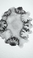Abstract black and white watercolor stain with organic flowing edges and textured center on white background for artistic design projects.