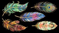 Colorful decorative feathers with gold outlines, isolated on transparent background. Great for t-shirt design, stickers, clipart, sublimation, and print on demand projects.