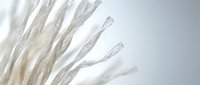 White decorative branches arranged in minimalist style against neutral background for modern interior design and home decor projects.