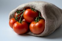 Fresh ripe red tomatoes on vine spilling from rustic burlap sack against light background, macro food photography highlighting natural produce texture.