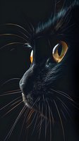 Close-up portrait of black cat face with glowing amber eyes and long whiskers against dark background, dramatic lighting highlighting facial features and mystical expression.