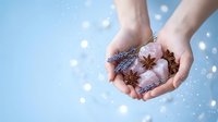 Female hands holding aromatic spices including star anise, cinnamon and lavender on soft blue background with bokeh lights for wellness and natural therapy.