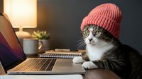Adorable tabby cat wearing pink knit beanie hat sitting at laptop computer in cozy home office workspace for pet lifestyle and remote work concepts.