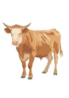 Brown cow standing in profile view on white background, isolated illustration for agricultural and farming design projects, ready for commercial use.
