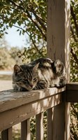 Tabby cat resting on a rustic wooden porch railing surrounded by green trees in warm sunlight, evoking calm and cozy outdoor living.