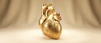 Golden anatomical human heart model with detailed chambers and vessels on neutral background for medical education and healthcare concepts.