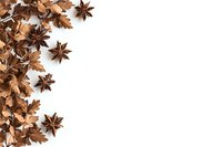 Star anise and dried autumn maple leaves arranged on white background creating natural border composition with copy space for seasonal designs.