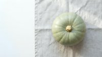 Fresh green pumpkin on white linen fabric background, autumn harvest vegetable for seasonal cooking and healthy nutrition recipes.