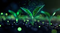 Young green sprout growing from soil with magical glowing particles and bokeh lights in dark environment, representing growth, nature revival and hope.