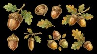 Acorns and oak leaves isolated on transparent background, ready for t-shirt design, clipart, stickers, sublimation, and print-on-demand products.