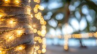 Palm tree trunk wrapped in glowing string lights creating magical bokeh effect against blurred tropical evening background, festive holiday atmosphere.