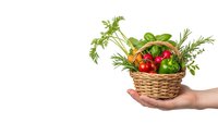 Hand holding wicker basket filled with fresh herbs and vegetables including dill, basil, peppers on white background for healthy cooking concepts.