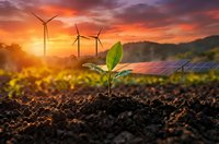 Green plant seedling growing in soil with wind turbines and solar panels at sunset representing renewable energy and sustainable development.
