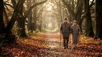 Senior couple walking together on autumn tree-lined path with fallen leaves, enjoying peaceful stroll through golden forest tunnel during retirement years.