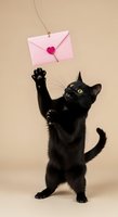 Black cat reaching up to catch pink envelope with heart seal on beige background, playful pet greeting card or love message concept.