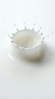 White milk splash crown formation with droplets on clean background for dairy and beverage advertising campaigns.