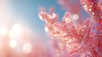 Delicate pink cherry blossom branches against soft blue sky with dreamy bokeh effect and sunlight creating romantic spring atmosphere for nature backgrounds.