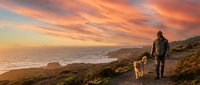 Person with dog walking on coastal hillside path at sunset with ocean and mountains in background, suitable for travel and lifestyle content.