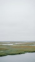 Serene coastal wetland landscape with salt marsh grasses and tidal channels under overcast sky for nature and environmental projects.