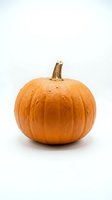 Fresh orange pumpkin isolated on white background for autumn harvest decorations, Halloween crafts, and seasonal design projects.