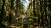 Young woman with arms outstretched embracing nature in sunlit forest. Freedom, wellness and outdoor adventure concept for mindfulness and eco-tourism content.