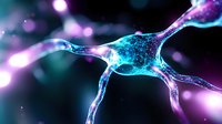 Glowing neuron cell with dendrites in purple and blue colors against dark background, scientific visualization showing synaptic connections and neural activity.