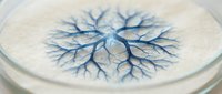 Intricate blue branching pattern resembling neural networks or tree roots spreading from center on circular white surface for scientific design.