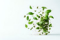 Fresh basil leaves and dried herbs exploding in dynamic motion against white background, creating artistic culinary composition for food and cooking concepts.